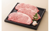 飛騨牛 サーロインステーキ サーロイン 肉 ×3枚（計600g）【59E1124】