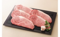 飛騨牛 サーロインステーキ サーロイン 肉 ×5枚（計850g） 【59E1102】