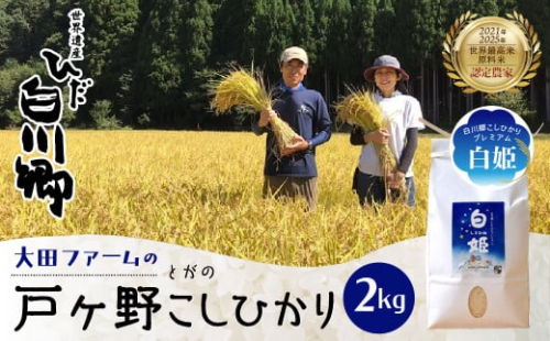 先行予約 令和7年産 白川郷 戸ヶ野のこしひかりプレミアム 白姫 2kg お米 大田ファーム 9000円 [S438]