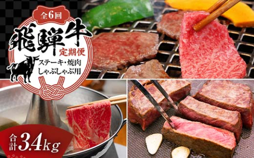 【定期便】飛騨牛 全6回 合計3.4kg ステーキ 焼肉 しゃぶしゃぶ 牛肉 黒毛和牛 5等級 肉 牛 ビーフ 食品 岐阜県 坂祝町 さかほぎ F6M-061