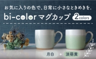 【美濃焼】 bi-color マグカップ 2色セット (月白・淡萌黄) 【山二製陶所】 食器 マグ コーヒーカップ [MDA004]