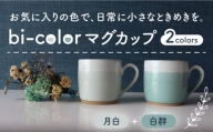 【美濃焼】 bi-color マグカップ 2色セット (月白・白群) 【山二製陶所】 食器 マグ コーヒーカップ [MDA006]