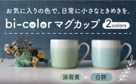 【美濃焼】 bi-color マグカップ 2色セット (淡萌黄・白群) 【山二製陶所】 食器 マグ コーヒーカップ [MDA008]