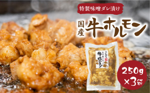 白川郷 自家製 牛ホルモン 250g×3袋セット 牛肉 国産牛ホルモン 味付け肉 味噌味 焼肉店 オリジナル 簡単 おつまみ 冷凍 味付き 白川村 てんから アウトドア BBQ 11000円  [S289]