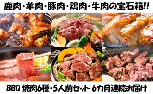 【6カ月連続】エンジョイ！BBQセット　～焼肉6種　5人前コース～ 73086 - 北海道木古内町
