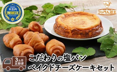 3カ月 定期便 こだわりの塩パン ベイクドチーズケーキ セット 北海道 チーズケーキ 塩パン