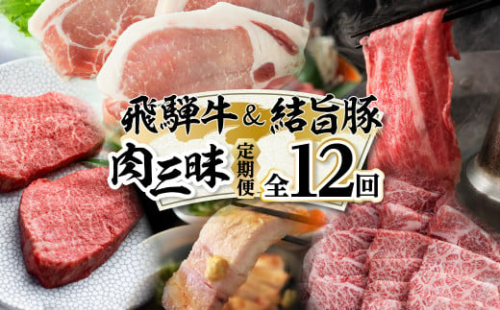 白川郷 まるごと定期便 全12回 お届け 飛騨牛&結旨豚 肉づくし ローススライス 結旨豚 ブロック肉 飛騨牛ブロック肉 焼肉用 もも肉 切り落とし ステーキ しゃぶしゃぶ すき焼き 食べ比べ 200000円 20万円 定期便 12か月 飛騨牛 豚肉 国産 牛 豚 焼肉 [S361]