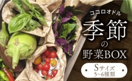 【ふるさと納税】季節の野菜BOX Sサイズ （5〜6種類）【Farm Regalo】旬野菜 冷蔵 おまかせ [MDU001]