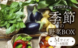 【ふるさと納税】季節の野菜BOX Mサイズ （7〜8種類）【Farm Regalo】旬野菜 冷蔵 おまかせ [MDU002]