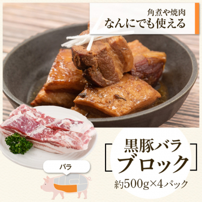 鹿児島県産黒豚バラブロック（約2kg）＋黒豚焼豚２個セット 732525