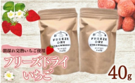 おかげさまです杉山農園のフリーズドライイチゴ 40g 朝摘み ドライ いちご ドライフルーツ 果物 いちご イチゴ 苺 フルーツ くだもの スイーツ デザート ストロベリー おやつ 完熟 直送 ギフト 家庭用 贈答用 贈答 ギフト 贈り物 甘い ブランド ジャム スムージー アレンジ フルーツ 健康 ビタミン 農家直送 朝採れ ベリー 産地直送 国産 おすすめ カロリー 乾燥 静岡県 牧之原市