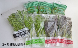 静岡県藤枝市の自然豊かな環境で丁寧に育てた4種類のおいしいハーブ野菜を詰め合わせを毎月1回、計3回連続お届けいたします。「ルッコラ」をはじめ、御殿谷農園オリジナル野菜で辛さの少ない「リーフトマト」、優