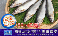 箱根の水が育てた美形あゆ【冷凍 約5kg（50～80尾）】 [№5812-0321]