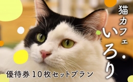 【ふるさと納税】猫カフェいろり ご利用優待券（1時間分）×10枚セット ( ねこ ネコ 動物 ペット 癒し 保護猫 触れ合い 猫カフェ 体験型