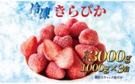 060-19　完熟冷凍いちご3kg以上！静岡限定品種【きらぴ香】