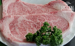 【ふるさと納税】047-29 遠州夢咲牛 ロースステーキ肉 250ｇ×2枚