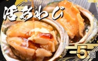 活 あわび 5個 セット 海鮮 鮑 貝 海の幸 食材 食品静岡県 藤枝市