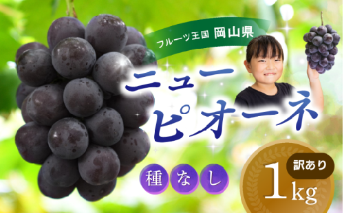 【2025年先行予約】 ぶどう 訳あり 花笑み農園の ニューピオーネ 1kg hana33. / ぶどう ブドウ 葡萄 岡山 ピオーネ 先行予約 フルーツ 果物 真庭市