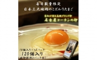 ☆名古屋コーチンの卵12パック（破卵保証2パック含）