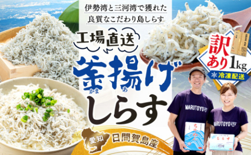 訳あり 釜揚げ しらす 1kg 減塩 日間賀島 冷凍 丸豊 愛知県 南知多町 離乳食 魚 さかな ご飯 ごはん 国産 シラス ピザ サラダ おにぎり 弁当 人気 おすすめ シラス しらす ちりめん じゃこ かちり 魚 小魚 魚貝 魚貝類 しらす シラス 天日干し しらす丼 シラス丼 しらすご飯 シラスご飯 ふるさと納税しらす ふるさと納税 しらす おすすめ 大人気 南知多産しらす 愛知県産しらす 