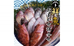 【ふるさと納税】豊浜漁港で水揚げした鮮魚詰め合わせ