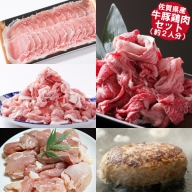 佐賀県産 牛豚鶏肉ステイホームセット（約2人分）：B021-015