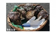 【冷蔵】岩ガキ　9ケ入　約4kg～約4.5kg ／貝　牡蠣　かき　カキ　天然　養殖　BBQ　伊勢志摩