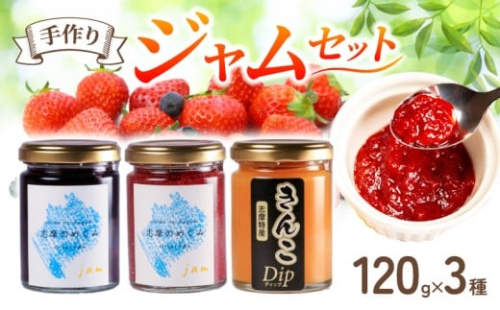 ジャム 3種 セット 120g×３個 いちご ブルーベリー きんこ 詰め合わせ フルーツ 果物 苺 ストロベリー レッドパール 芋 トースト パン 朝食 朝ご飯 贈り物 プレゼント ギフト 手作り 三重 伊勢志摩 志摩市 志摩のめぐみジャムセット 5000円 5千円 五千円