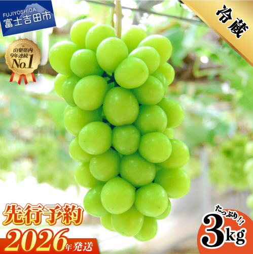 【2026年発送 先行予約】山梨県産シャインマスカット3kg 74081 - 山梨県富士吉田市