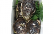 （冷蔵）岩牡蠣　Bコース　Lサイズ　５個／シェルファームみつなが　かき　伊勢志摩　お取り寄せグルメ　三重県　南伊勢町