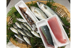 【三重外湾漁業協同組合がお届けする新鮮お魚セット！】三重県で漁獲高Ｎo.1※を誇る南伊勢町奈屋浦漁港。三重県の南部地域の漁港を管轄する三重外湾漁業協同組合は、その本所が奈屋浦にあります。そんな海の幸豊