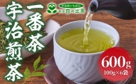 2023年産　一番茶 宇治煎茶600g(100g×6袋)　お茶 宇治茶 緑茶 煎茶 一番茶 　AG05