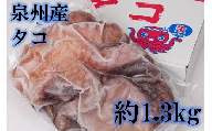 大阪産 泉タコ (生たこ) 1.3kg