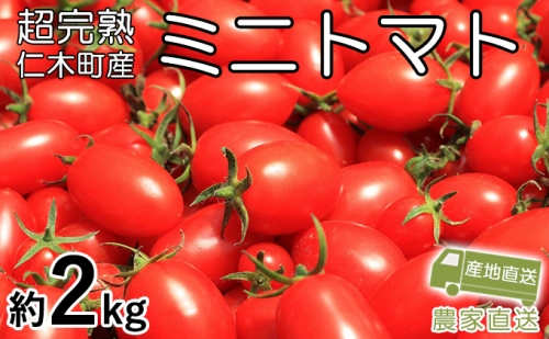 超完熟ミニトマト【アイコ】お試し2kg（1kg×2箱） 75176 - 北海道仁木町