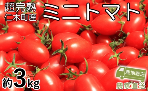 超完熟ミニトマト【アイコ】大満足のたっぷり3kg 75177 - 北海道仁木町
