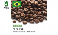 [豆]#42 受注焙煎！310g ブラジル No2 クイーンショコラ Qグレード 珈琲豆 コーヒー豆 自家焙煎