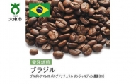 [豆]#85 受注焙煎！310g ブラジル ブルボンアマレロ パルプドナチュラル ボンジャルディン農園（PN）珈琲豆 コーヒー豆 自家焙煎