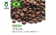 [豆]#98 受注焙煎！310g ブラジル No2 セミウオシュド S18 21年クロップ 珈琲豆 コーヒー豆 自家焙煎