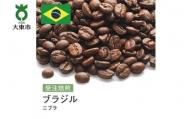 [豆]#131 受注焙煎！310g ブラジル ニブラ 珈琲豆 コーヒー豆 自家焙煎