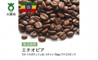 [豆]#144 受注焙煎！310g エチオピア モカ イルガチェフェG1 コチャレ 7Days アナエロビック 珈琲豆 コーヒー豆 自家焙煎