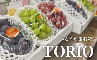 KF-B030【きよとう】葡萄の宝石箱TORIO-トリオ-（シャインマスカット入り3品種詰め合わせ）