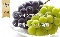 KF-B010【きよとう】シャインマスカット＆生産者いちおし葡萄（２房1.0kg以上)