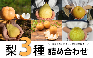 KF-C016【きよとう】梨好きのための、ご家庭用梨3種食べ比べセット