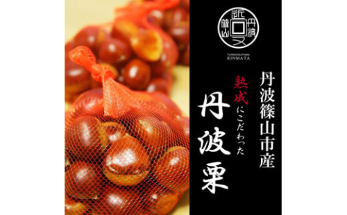 【令和8年産先行予約】丹波篠山産 丹波栗 L以上混在 1kg　2026年産 兵庫県 丹波篠山市 プレミアム栗 期間限定 お取り寄せグルメ 高級 特産品 名産品 マロン