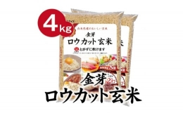 【ふるさと納税】金芽ロウカット玄米 4kg（2kg×2袋）
