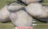 [№5258-0122]勤成丸の千姫冷凍蒸し牡蠣