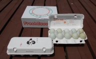 AG10_江原ファーム　アローカナの青い卵（計２０個）◆