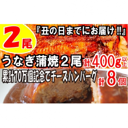 A600.うなぎの蒲焼2尾&大人気のチーズハンバーグ8個【新宮町プラチナセット】