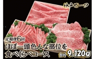 神戸牛 ほぼ一頭色んな部位を食べくらべコース（定期便６回）[620]