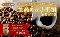 ハマヤコーヒーセット100BR [№5275-0257]